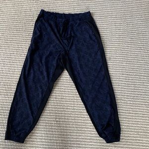 Athleta Women's 16 Brooklyn Jogger Dress Blue Python Printed